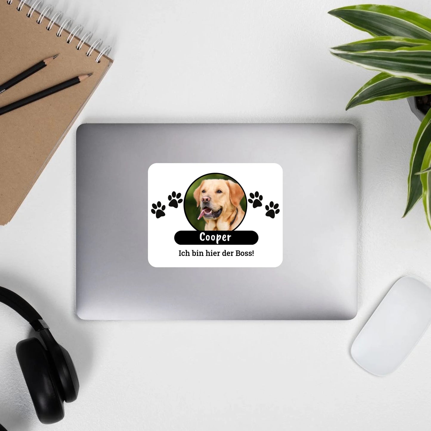 Aufkleber mit Foto und Text - individueller Sticker oder Autoaufkleber