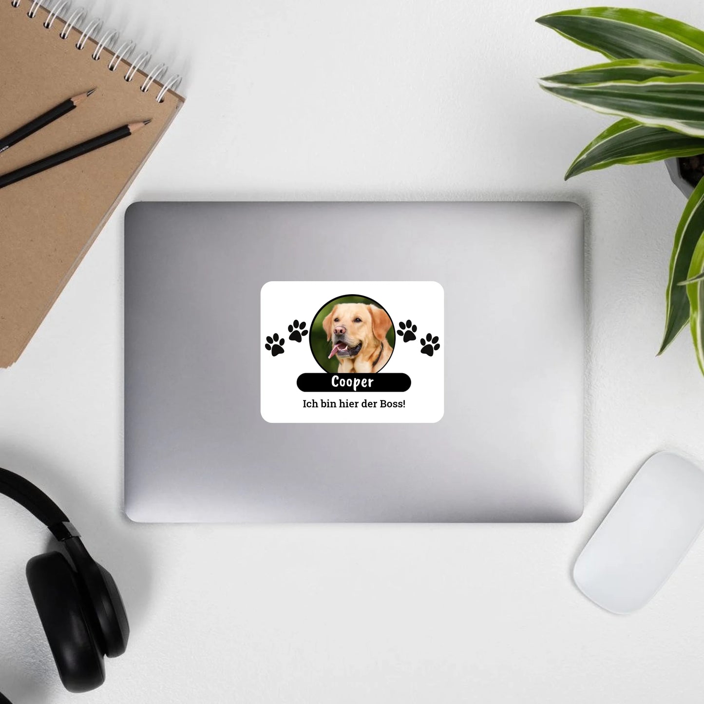 Aufkleber mit Foto und Text - individueller Sticker oder Autoaufkleber