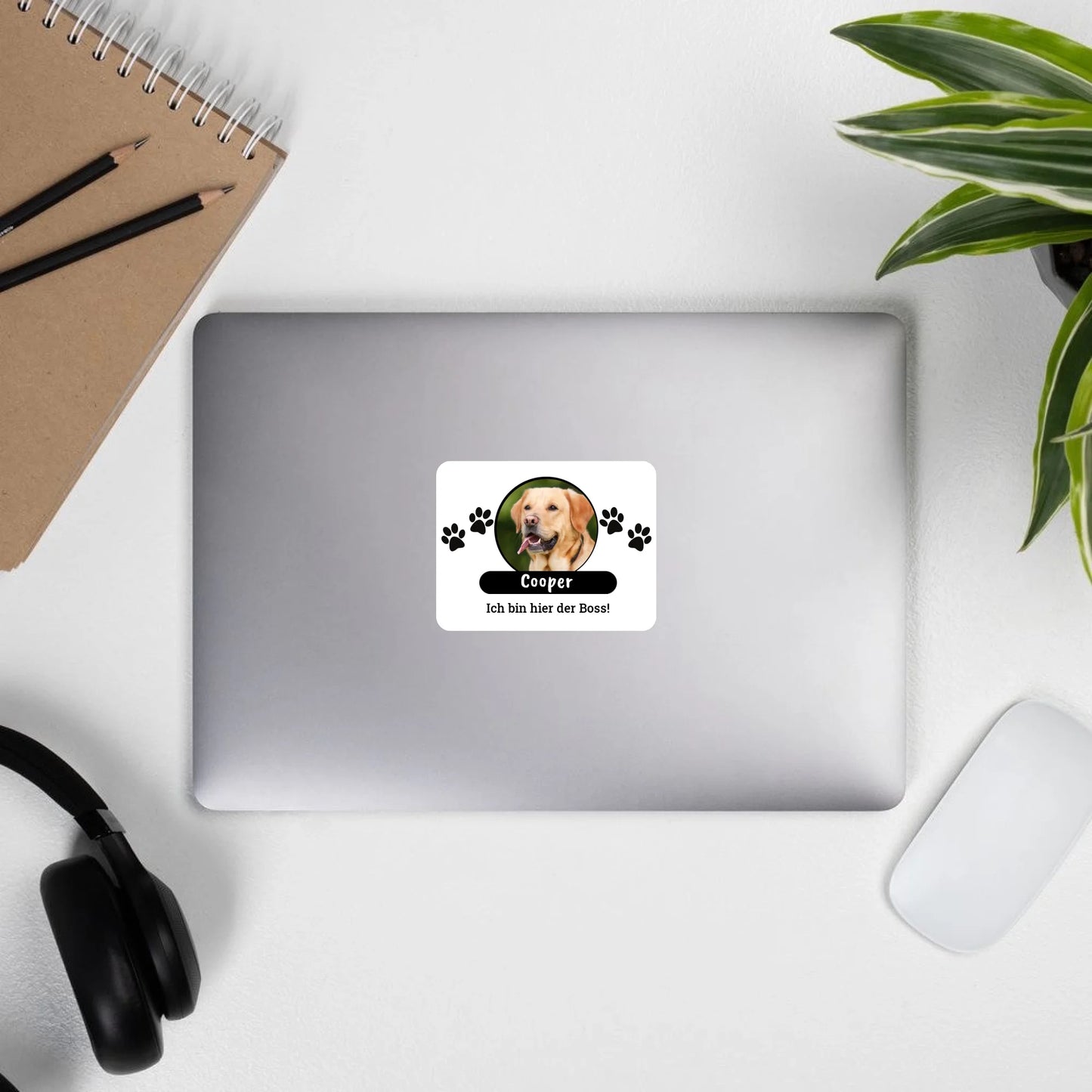 Aufkleber mit Foto und Text - individueller Sticker oder Autoaufkleber