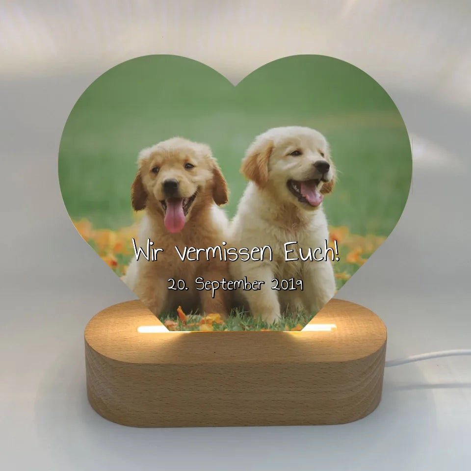 beleuchtete Hunde Herztafel - individuelles Acryl LED Licht in Herzform