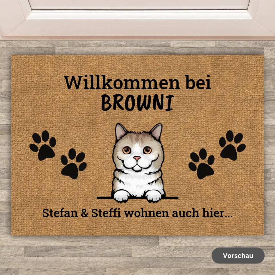 Welcome to Doormat - Personalized Funny Cat Doormat