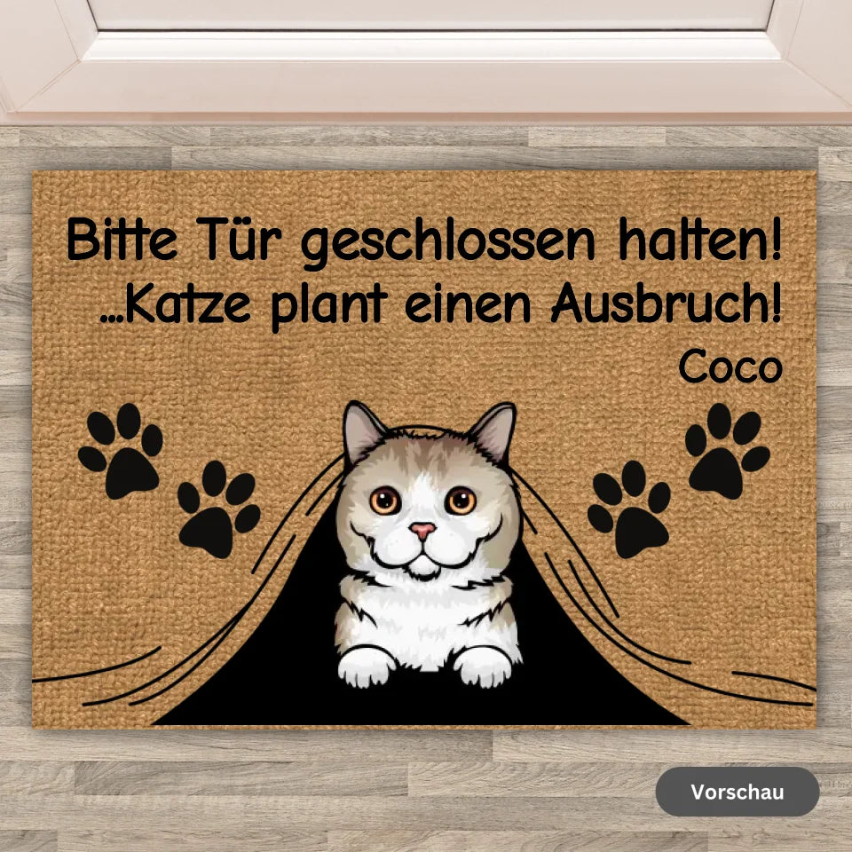 Welcome to Doormat - Personalized Funny Cat Doormat