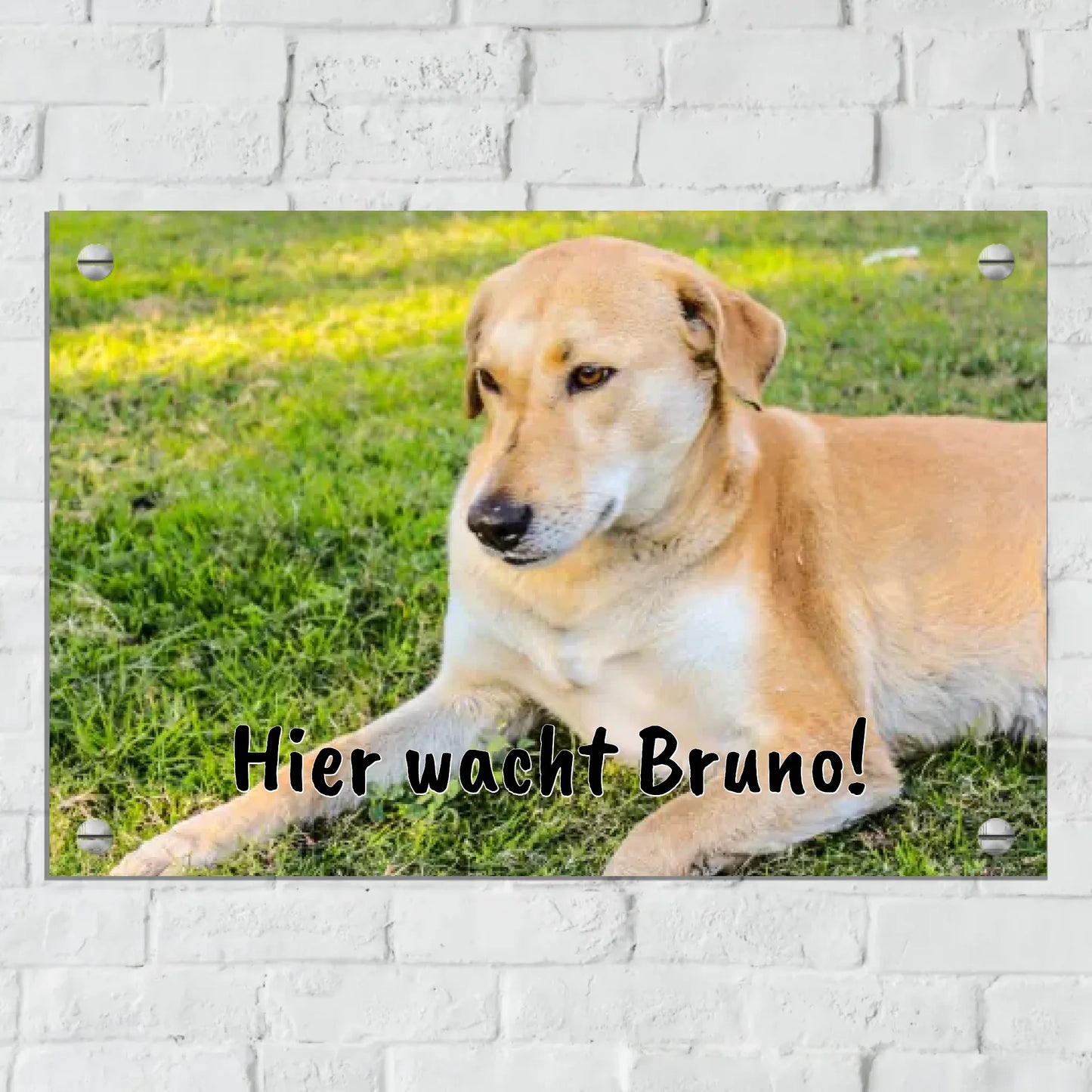 Aluminium Schild für Innen und Außen mit Löchern zur Befestigung