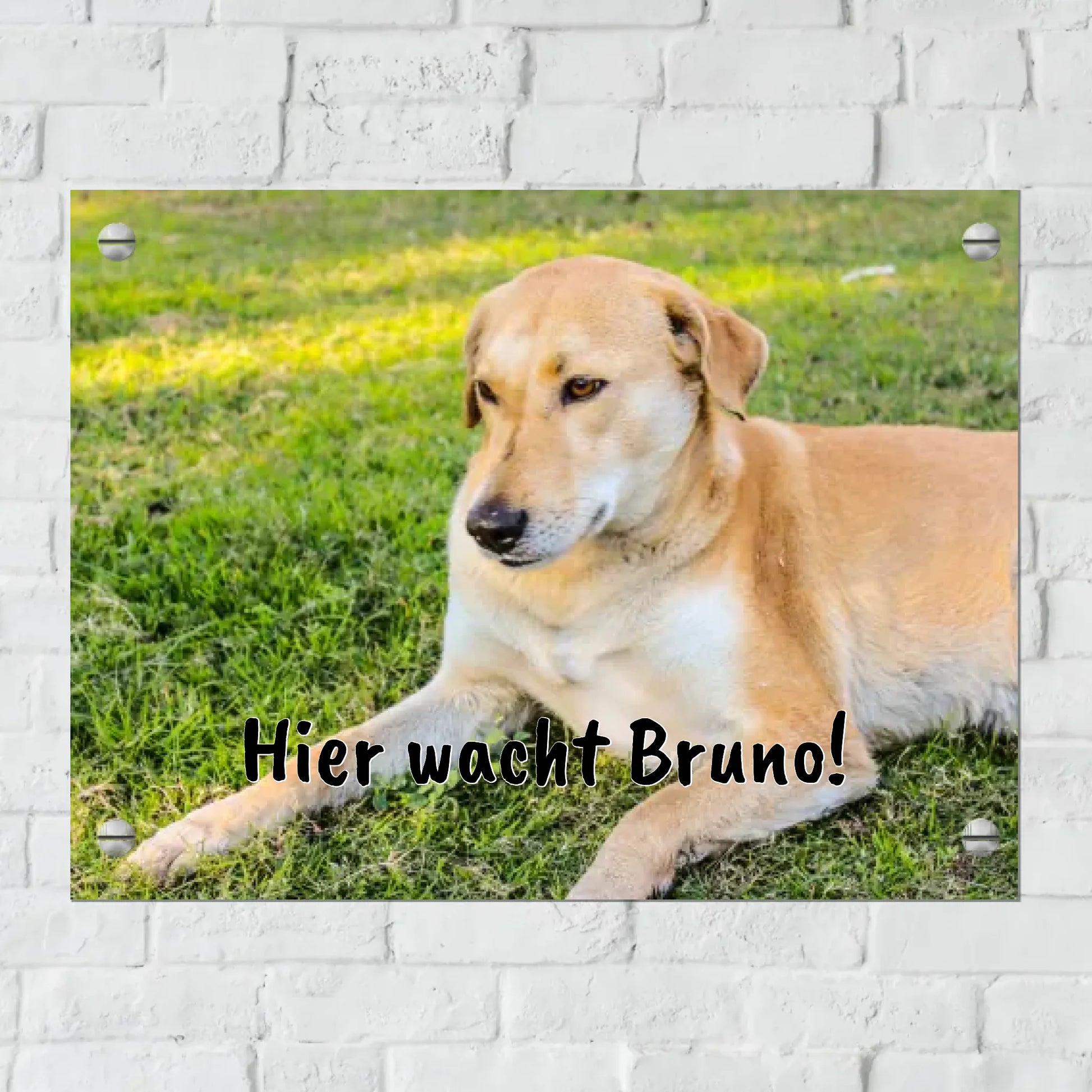 Aluminium Schild für Innen und Außen mit Löchern