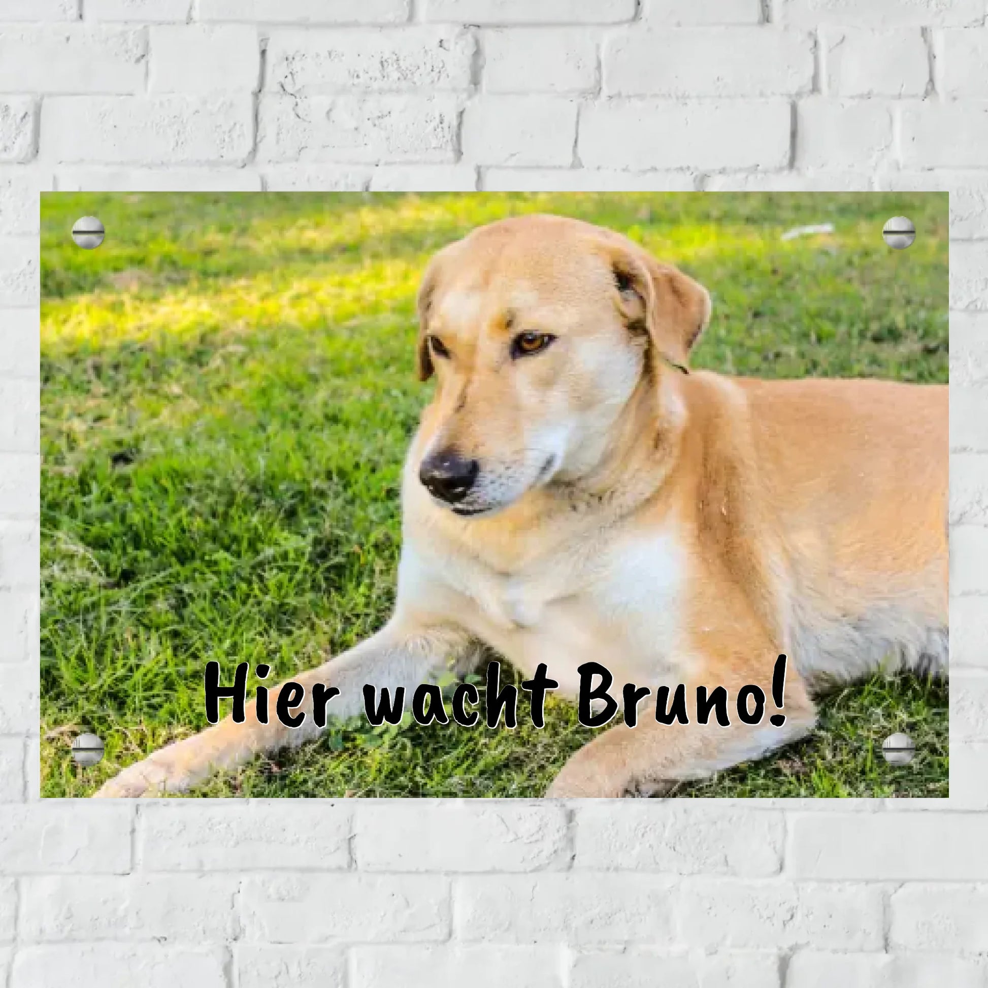 Aluminium Schild für Innen und Außen mit Löchern