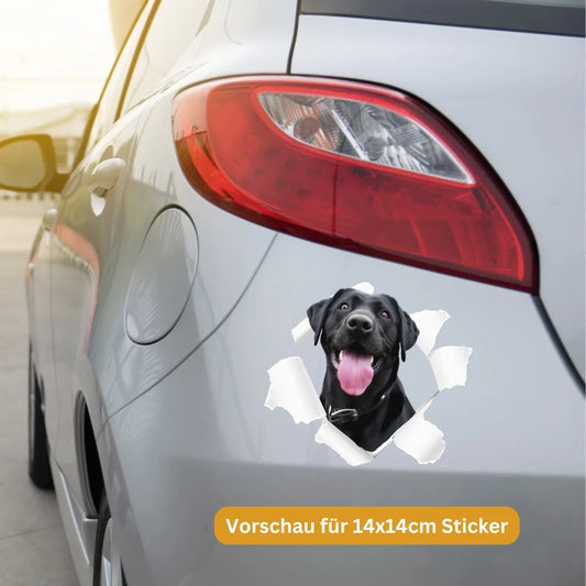 auto-mockup1