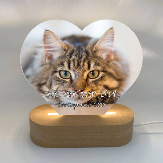 beleuchtete Katzen Herztafel - individuelles Acryl LED Licht in Herzform