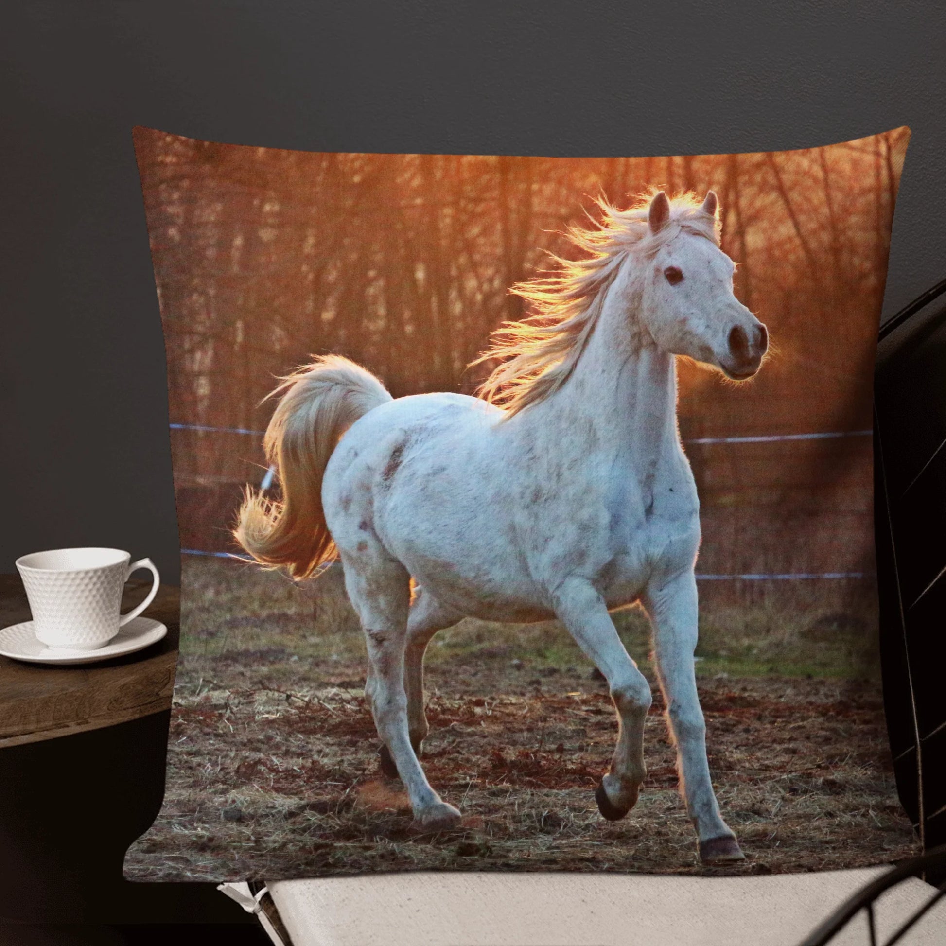 05_22x22_premiumpillow_lifestyle5_base