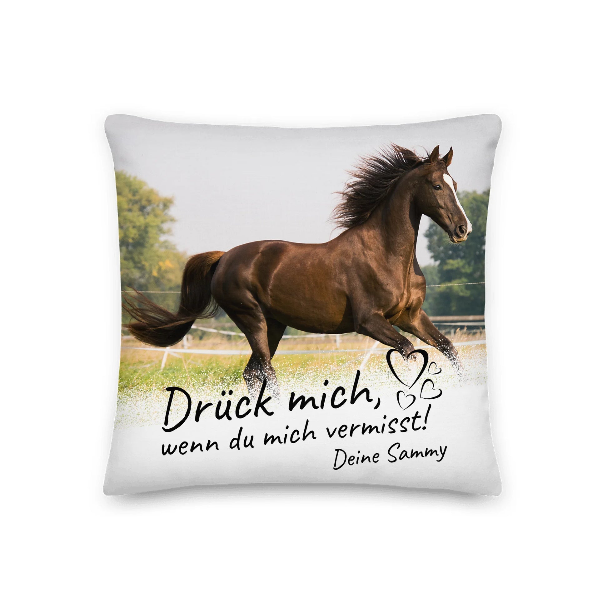 05_18x18_premiumpillow_default_base_whitebg