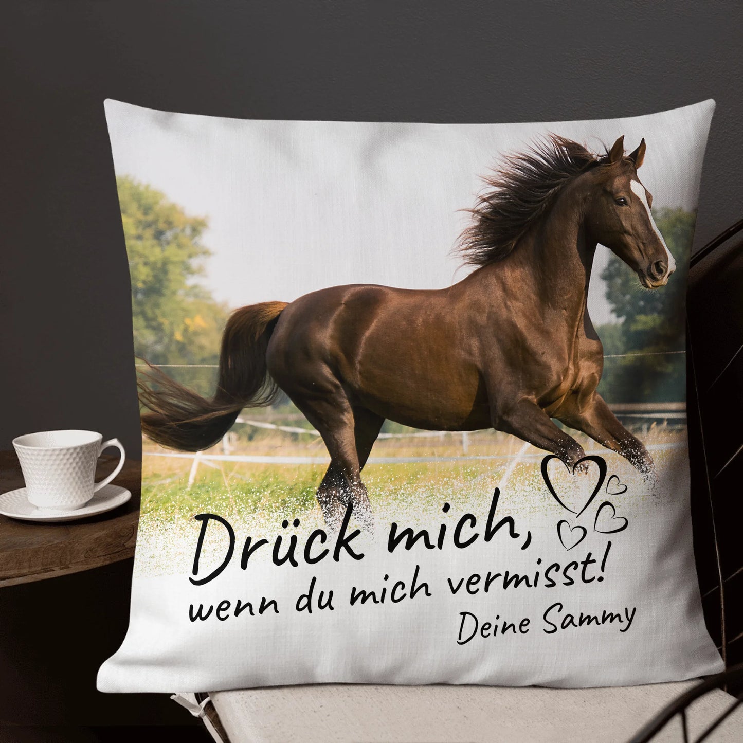 05_22x22_premiumpillow_lifestyle5_base