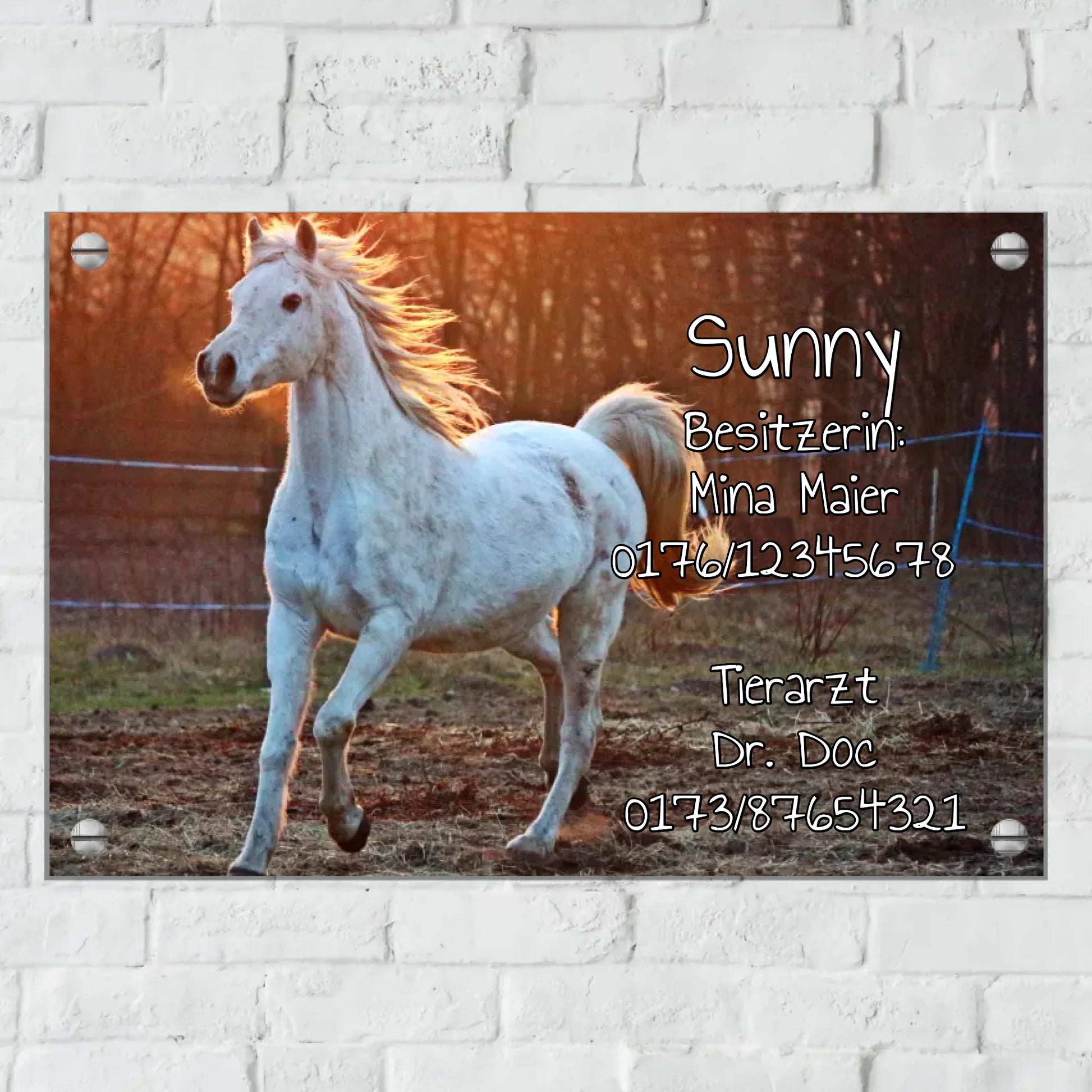 Aluminium Schild für Innen und Außen mit Löchern