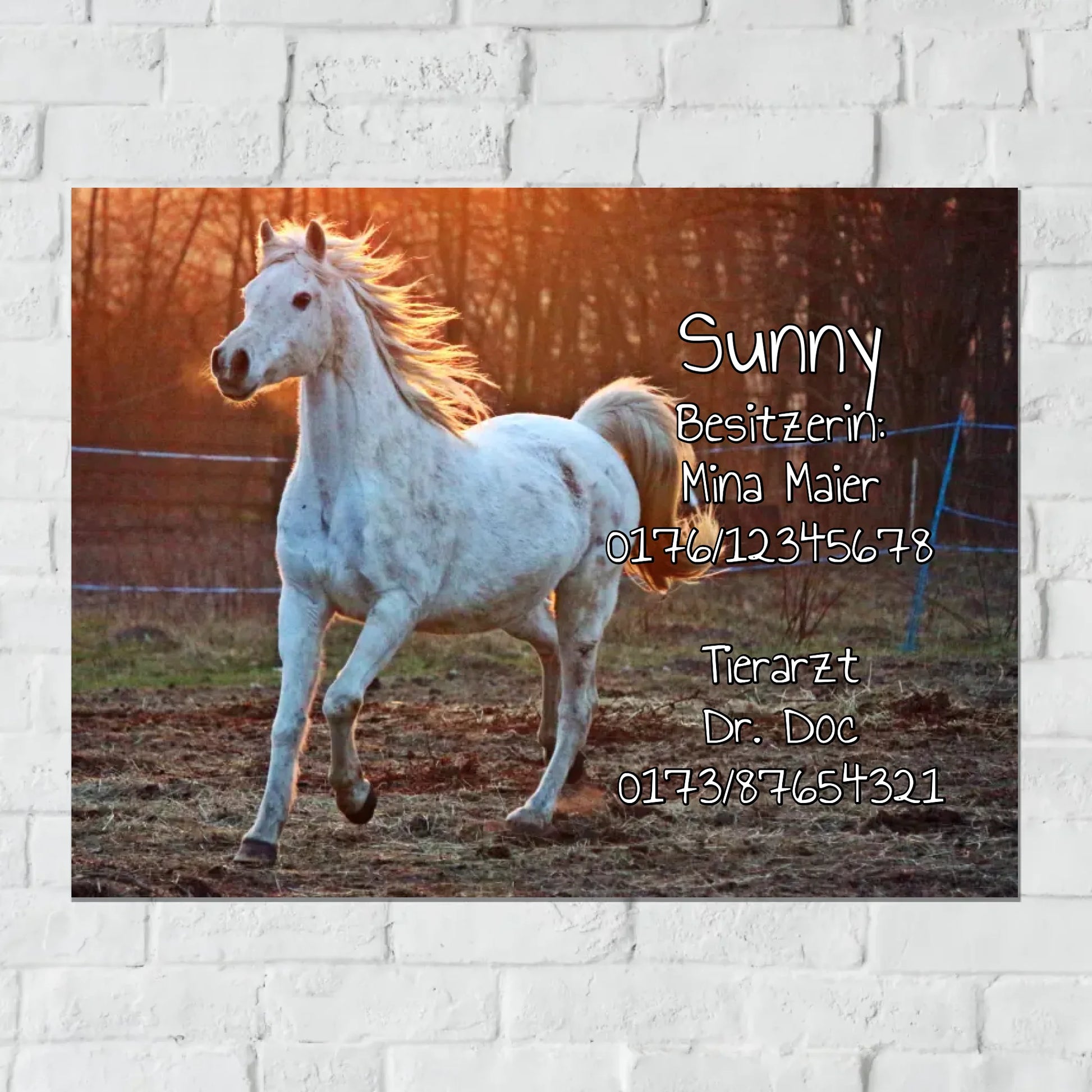 Aluminium Schild für Innen und Außen