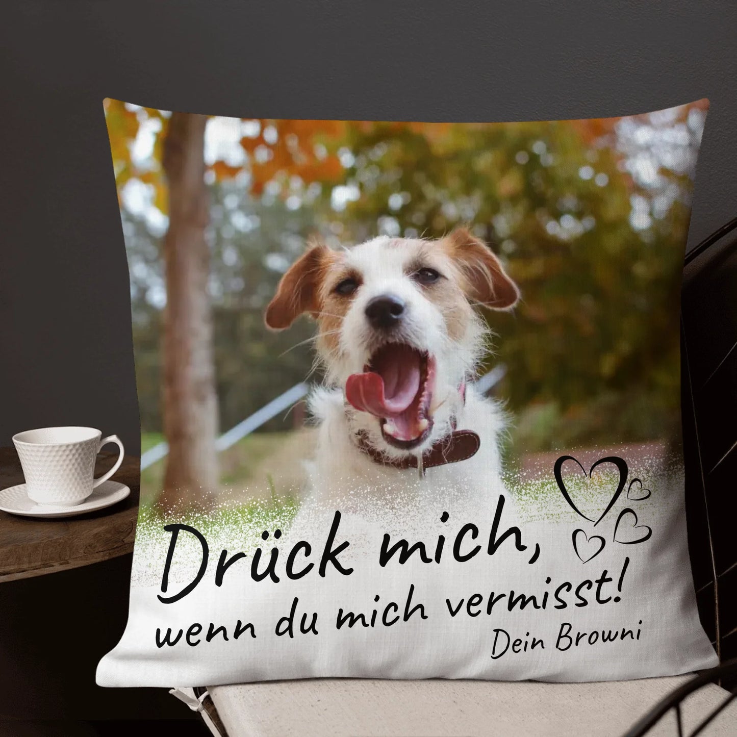 05_22x22_premiumpillow_lifestyle5_base