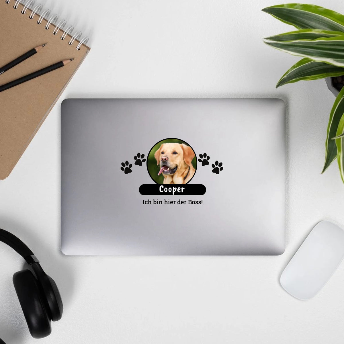 Aufkleber mit deinem Pferd - individueller Sticker oder Autoaufkleber | Personalize Palace