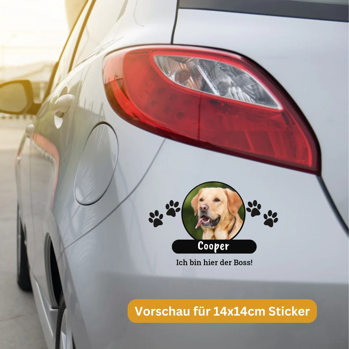 auto-mockup1